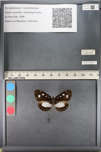 Media type: image;   Entomology 138470